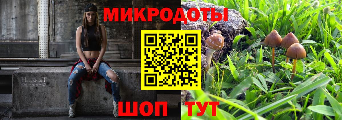 Галлюциногенные грибы мухоморы Карпинск